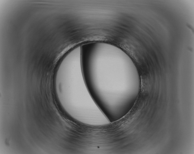 X0000097870348200803140923
