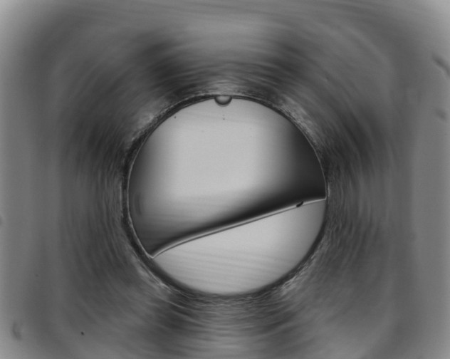 X0000097870349200803140923
