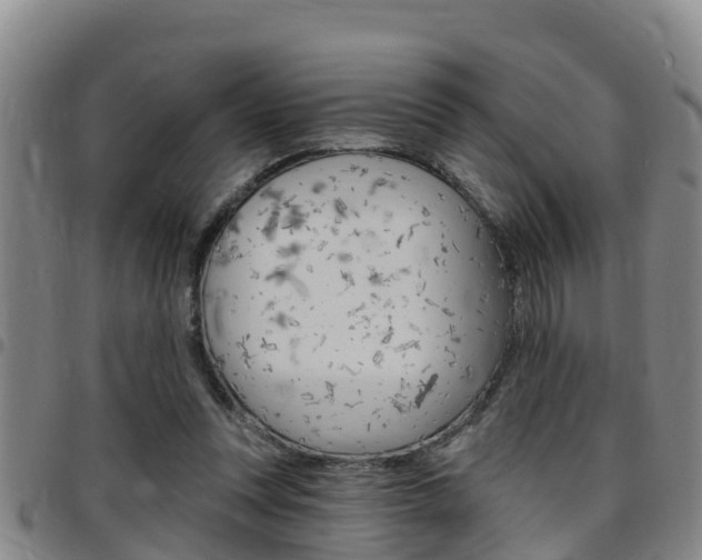 X0000097870351200803140923
