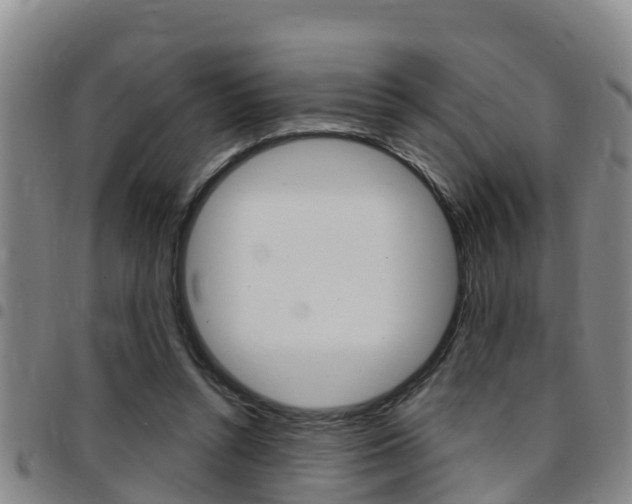 X0000097870352200803140923