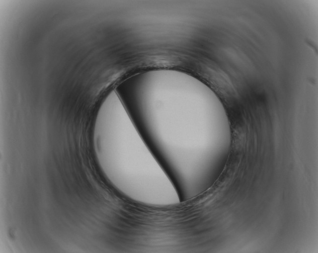 X0000097870358200803140923