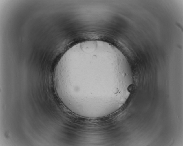 X0000097870359200803140923