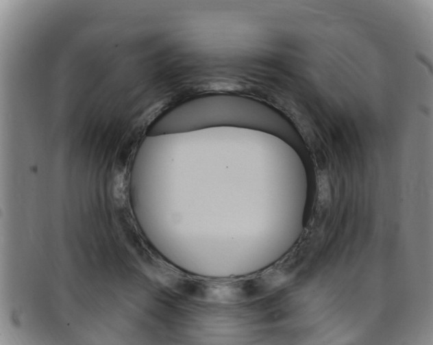 X0000097870360200803140923
