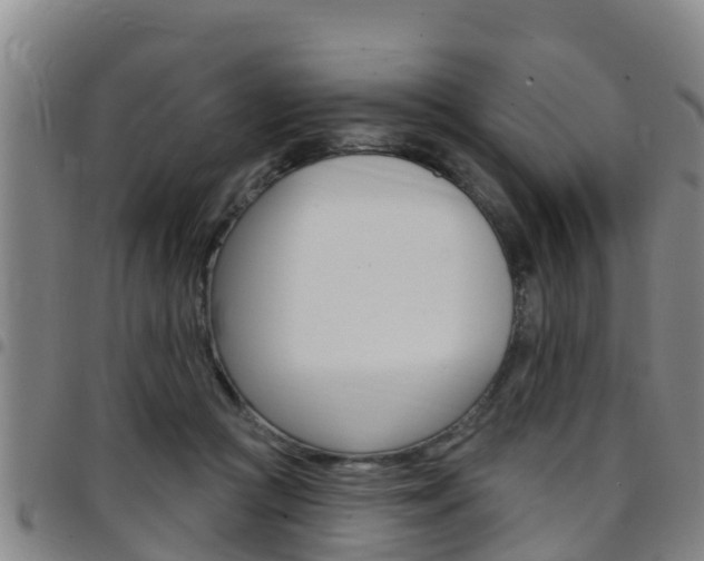 X0000097870361200803140923