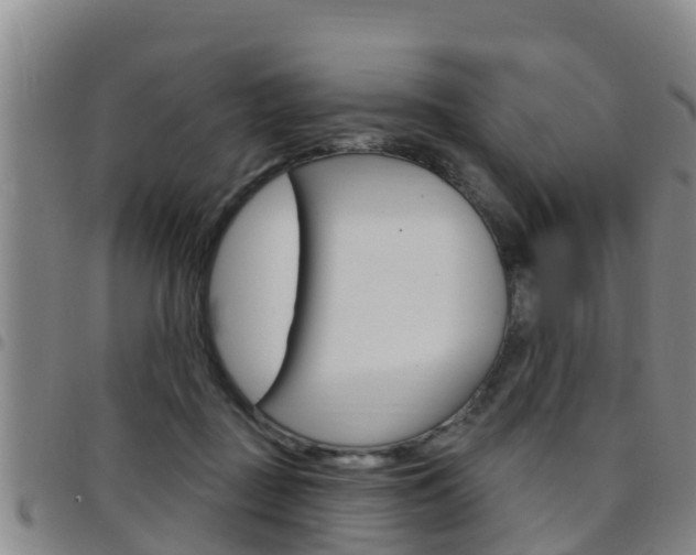 X0000097870363200803140923