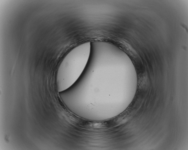 X0000097870365200803140923