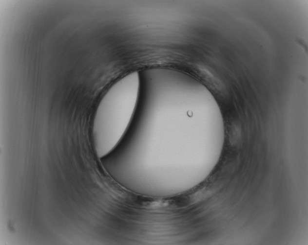 X0000097870366200803140923