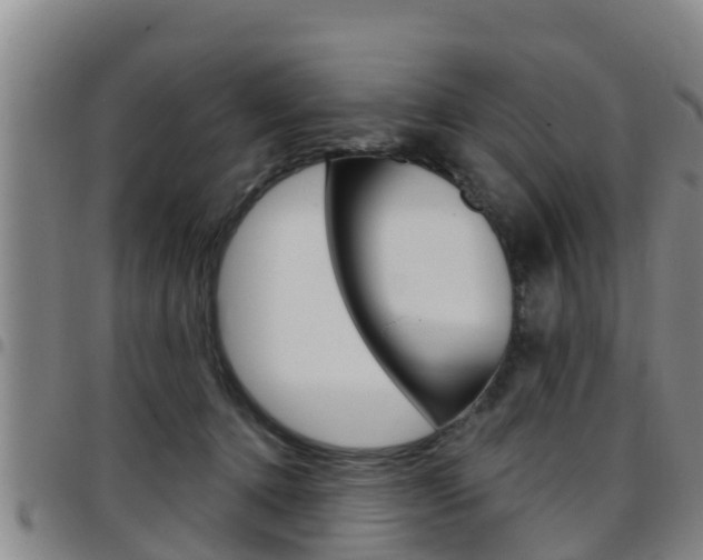 X0000097870368200803140923