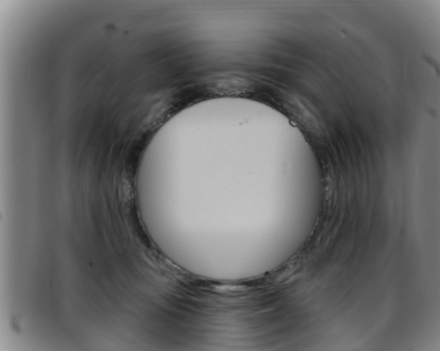 X0000097870371200803140923
