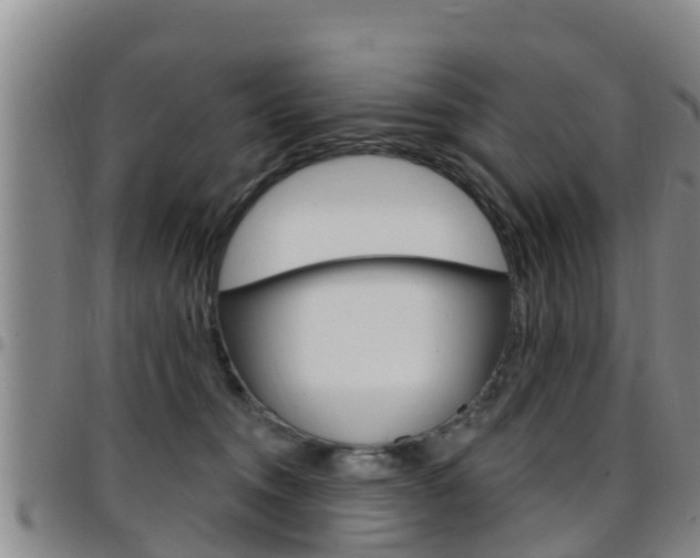 X0000097870372200803140923