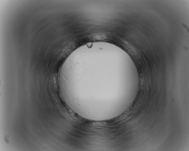 X0000097870373200803140923
