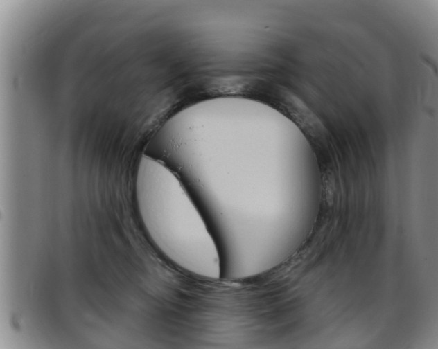 X0000097870374200803140923