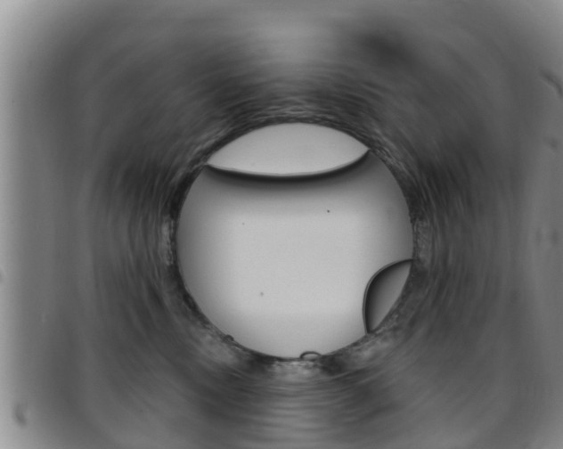 X0000097870378200803140923