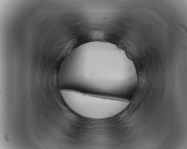 X0000097870379200803140923