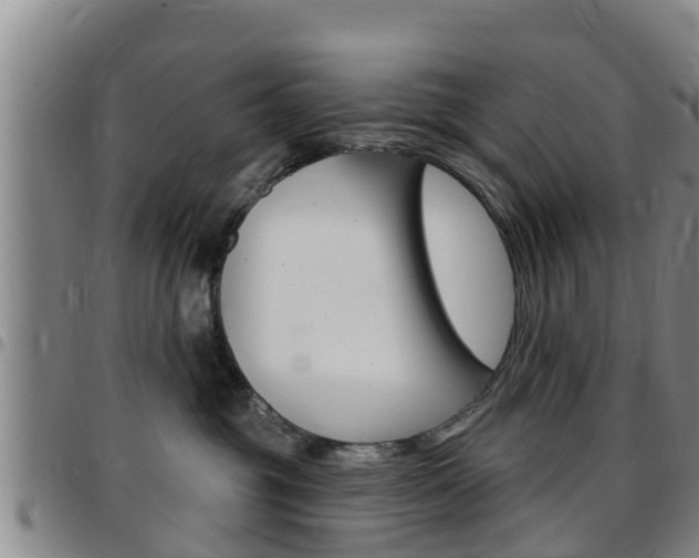 X0000097870381200803140923
