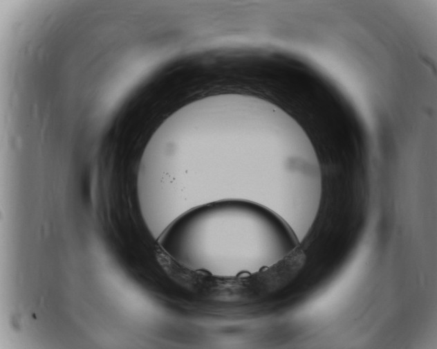 X0000097870382200803140923