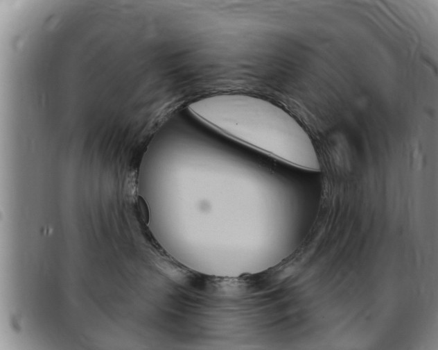 X0000097870383200803140923