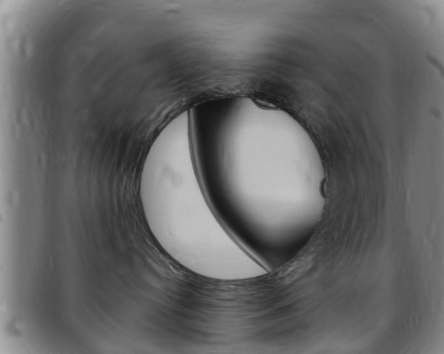X0000097870384200803140923