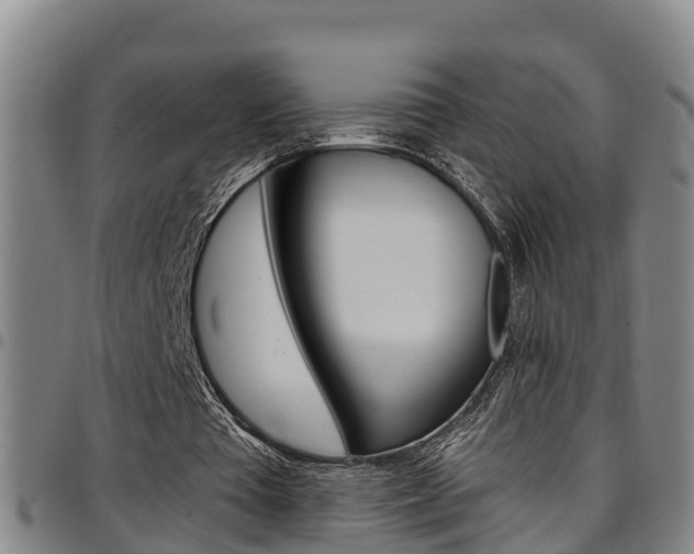 X0000097870385200803140922