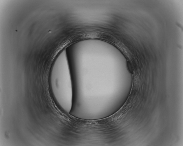 X0000097870386200803140922