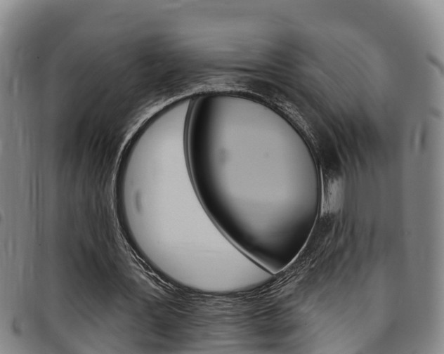 X0000097870387200803140922