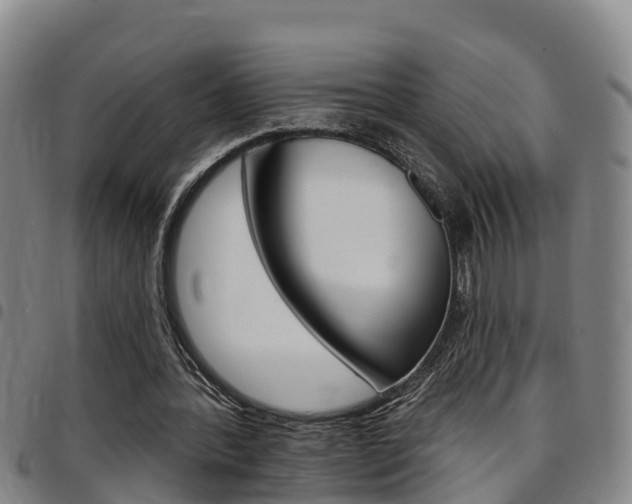 X0000097870388200803140922