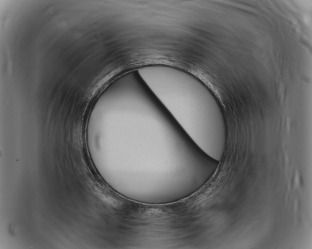 X0000097870390200803140922