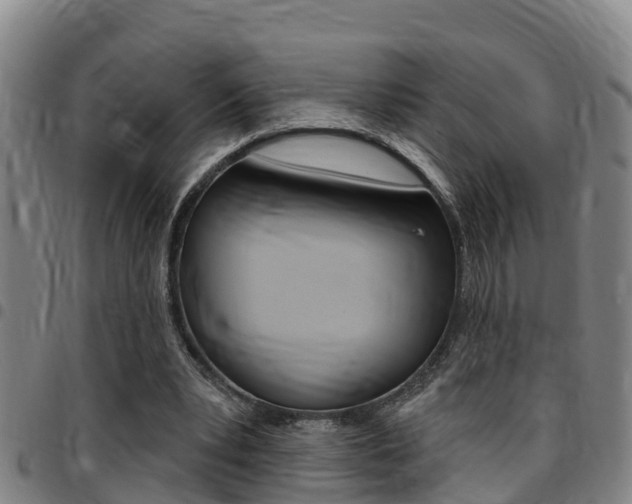 X0000097870391200803140922