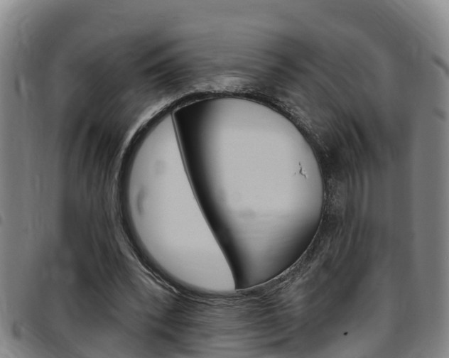 X0000097870392200803140922