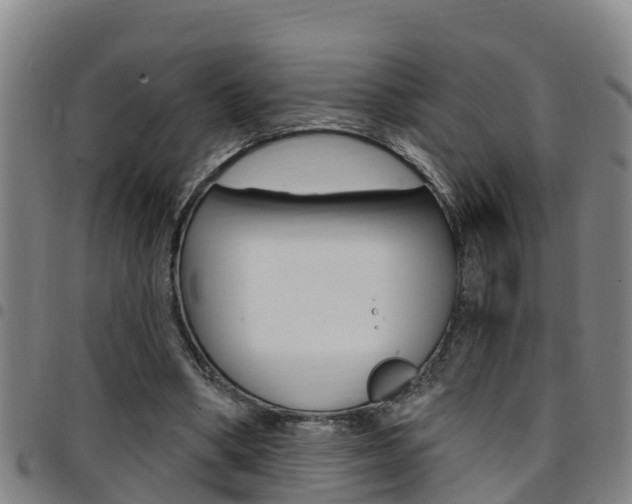 X0000097870394200803140922