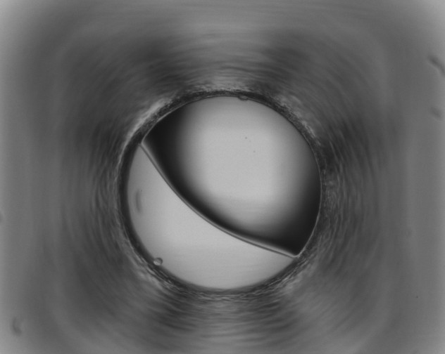 X0000097870395200803140922