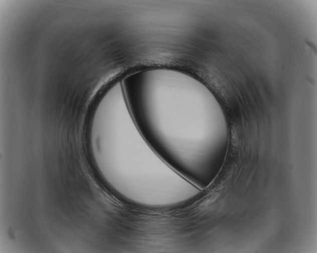 X0000097870396200803140922