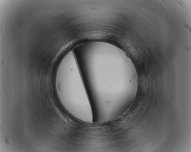X0000097870400200803140922