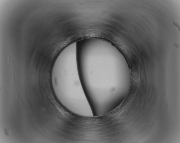 X0000097870401200803140922