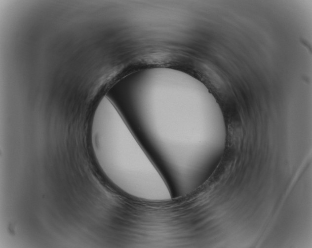 X0000097870404200803140922