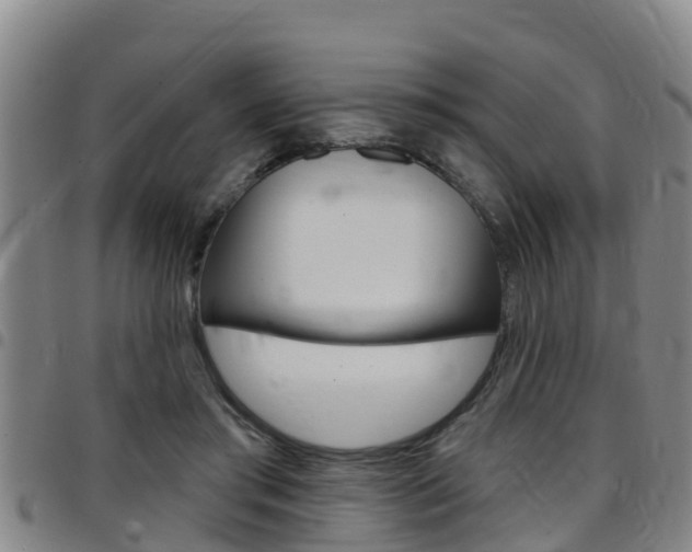X0000097870405200803140922
