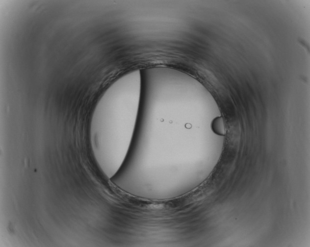 X0000097870406200803140922
