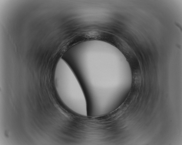 X0000097870408200803140922