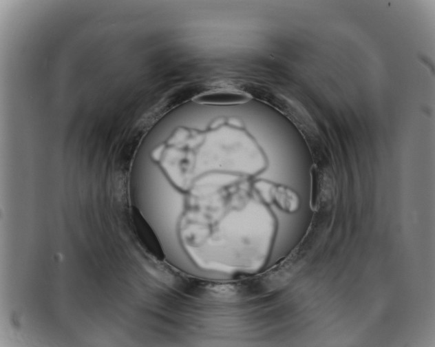 X0000097870409200803140922
