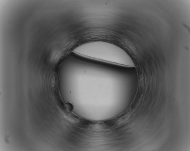 X0000097870412200803140922