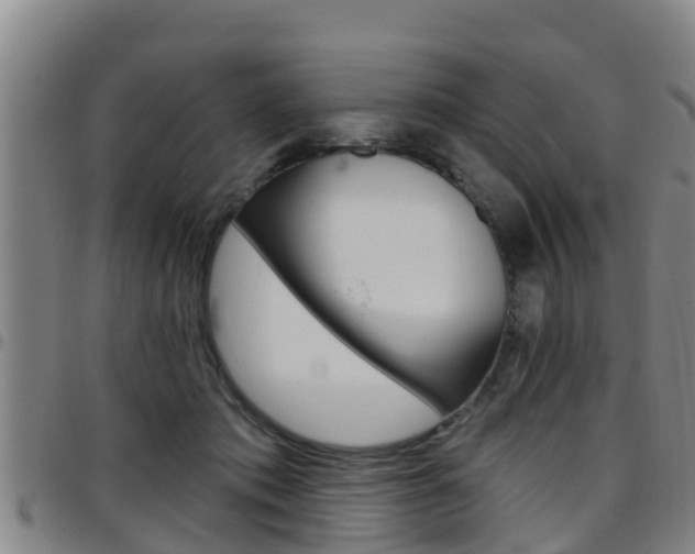 X0000097870413200803140922