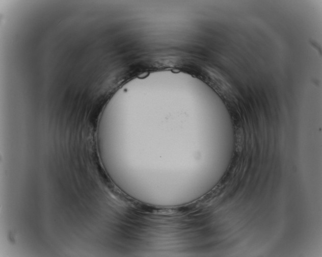 X0000097870414200803140922