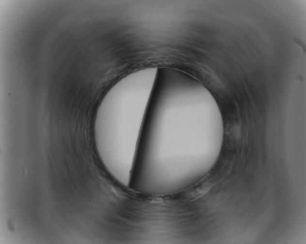 X0000097870416200803140922