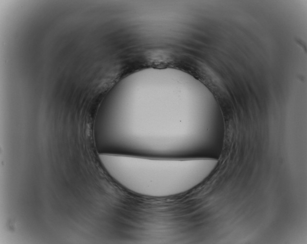 X0000097870417200803140922