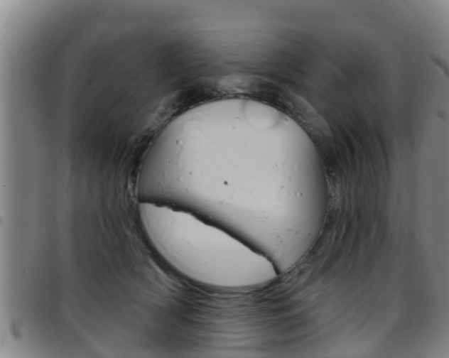 X0000097870418200803140922