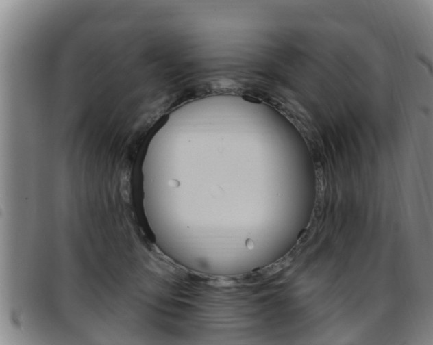 X0000097870419200803140922