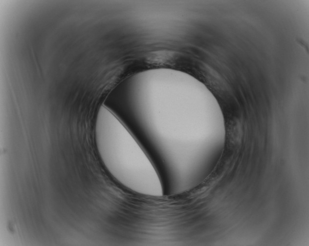 X0000097870420200803140922