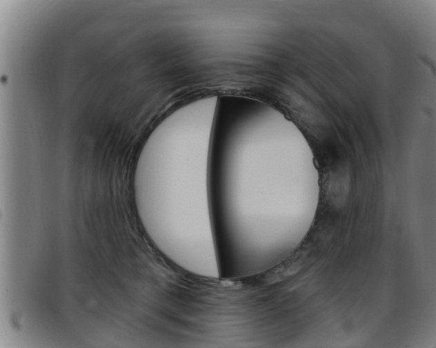 X0000097870421200803140922