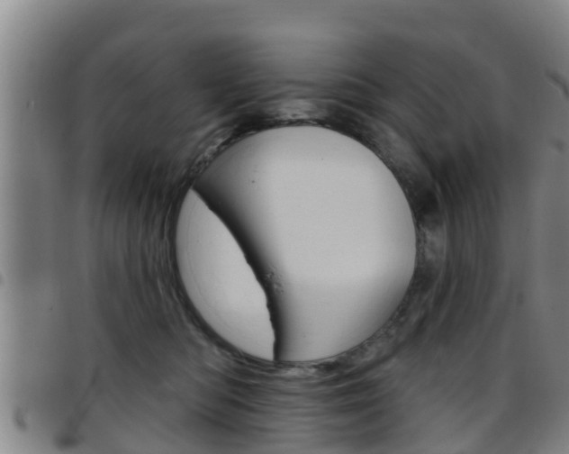 X0000097870422200803140922