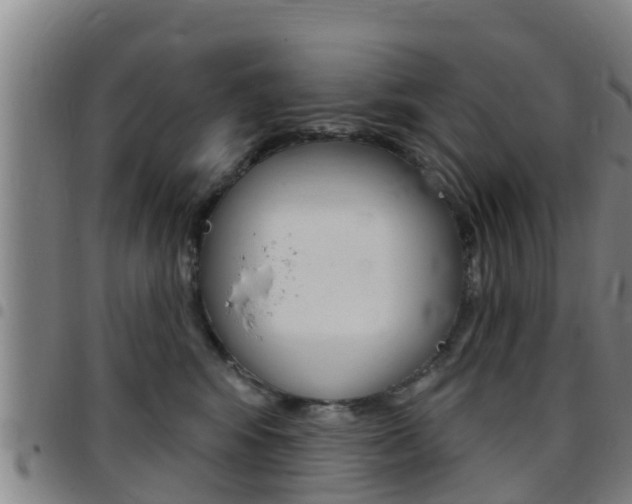 X0000097870424200803140922
